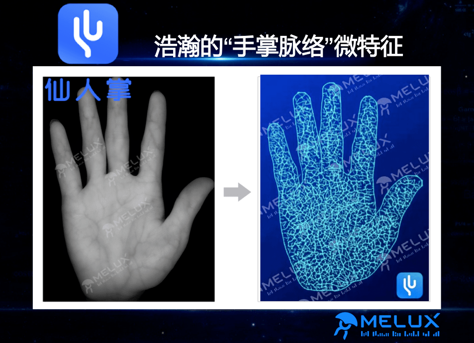 广州麦仑信息科技有限公司就研究出了一种掌静脉识别技术,可以在不