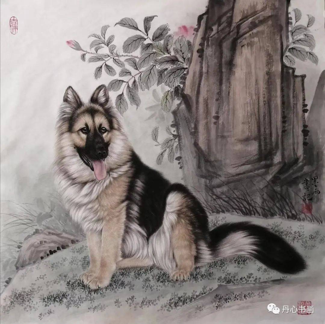 惟妙惟肖精工美 形神兼备显真功 |工笔动物画家张玉涛