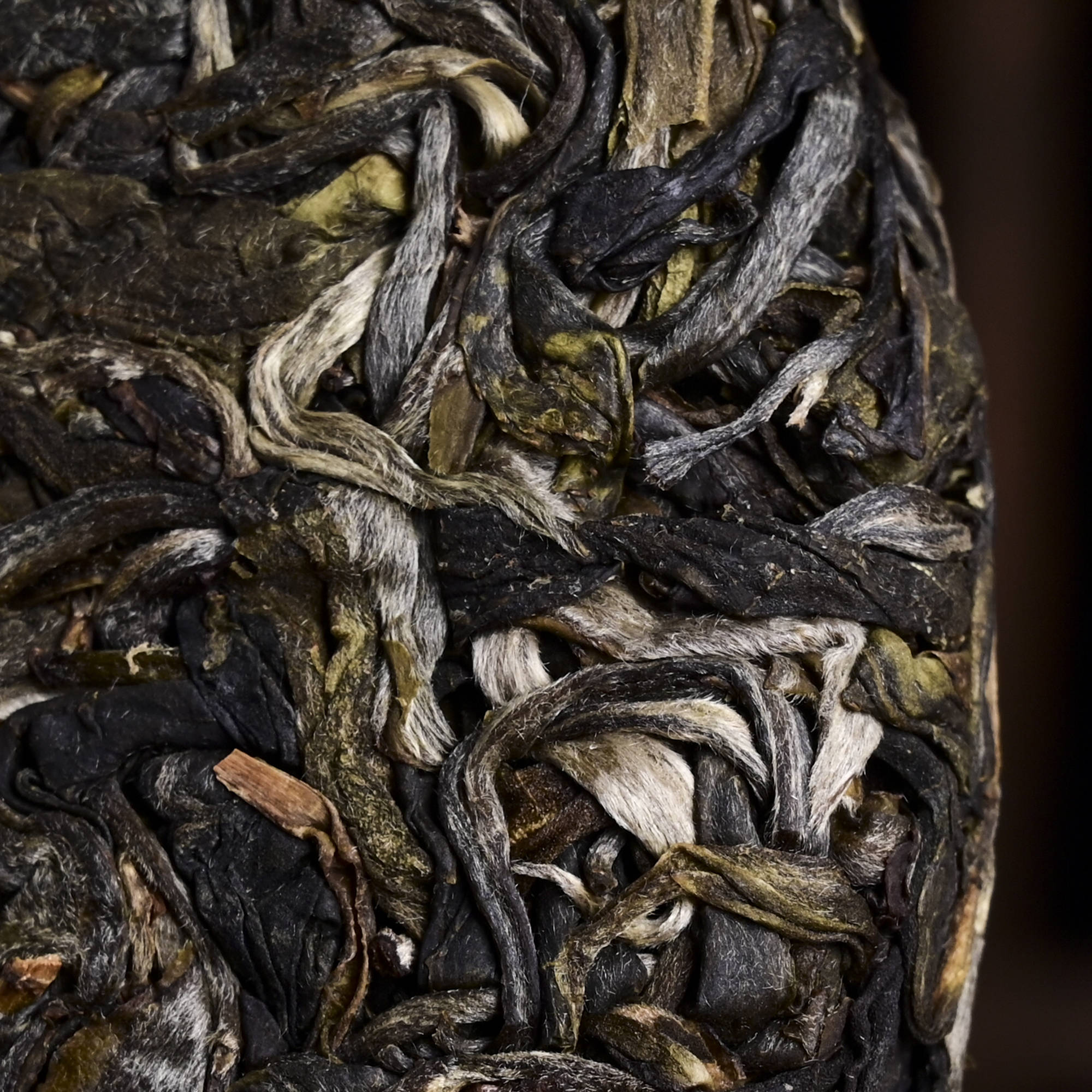 易武落水洞古树茶特点