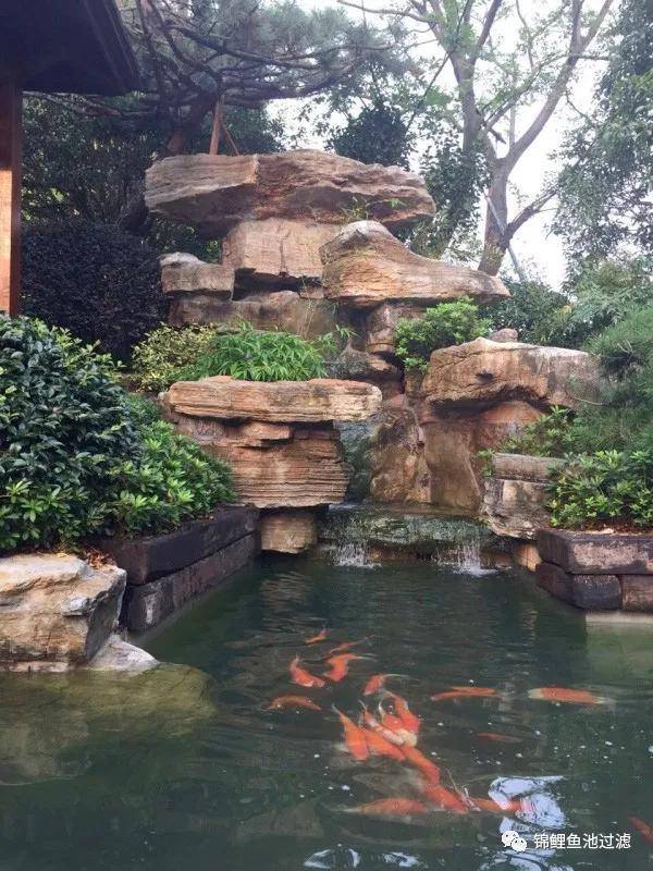 给你个小院子你准备怎么造