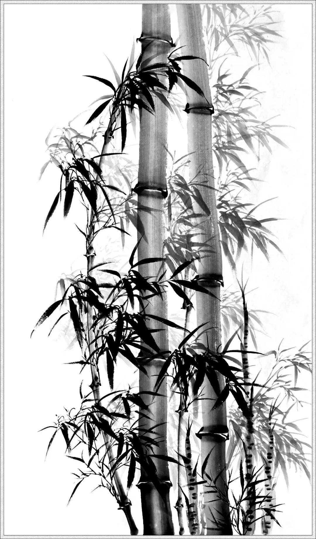 艺术与财富跨界巅峰对话当代艺术名家阮成森