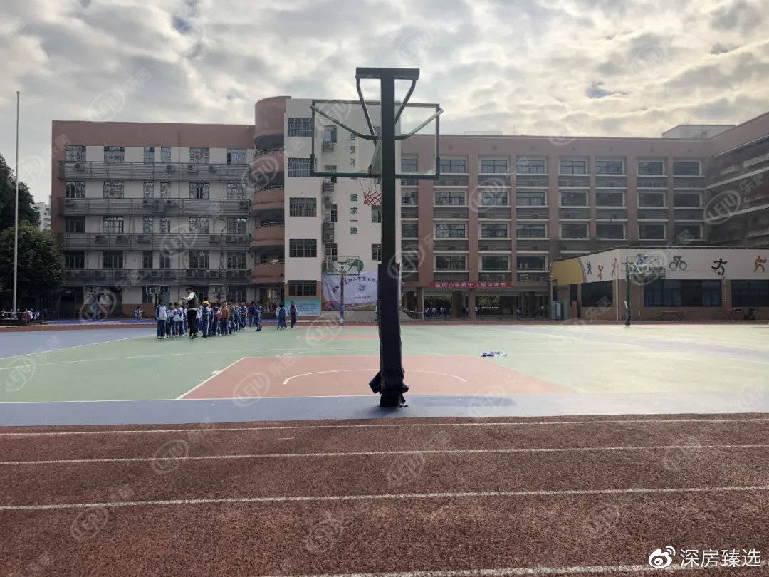 红岭中学小学部图片