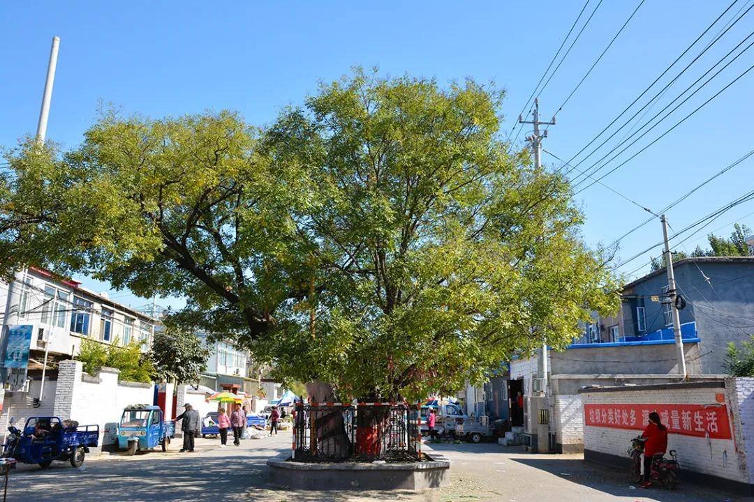 地址:房山区长沟镇东长沟村路开集日期:农历逢一,六开集时间:07:00-13