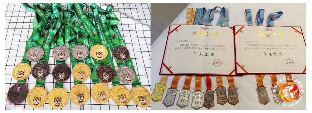 武术新秀李文帅