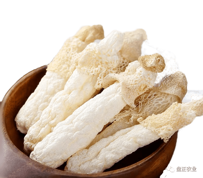 盘正林下红托竹荪的"烘干工艺"