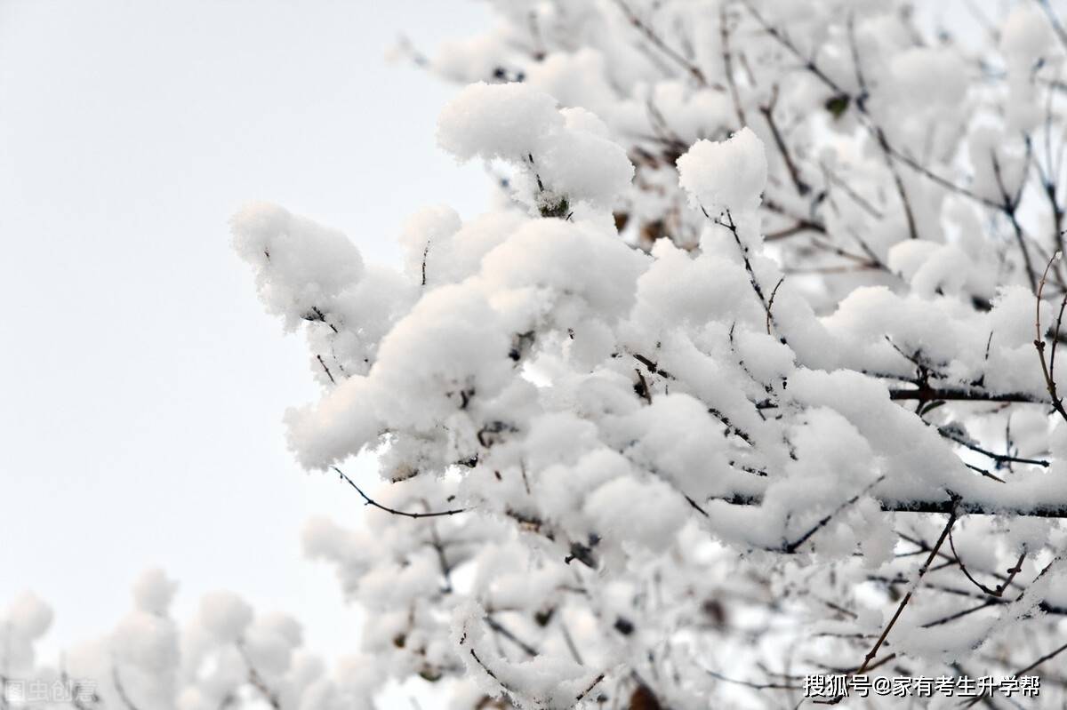 雪一般有几种形态,第一种是小片的雪花,呈现六瓣花形,因此雪也称"六出