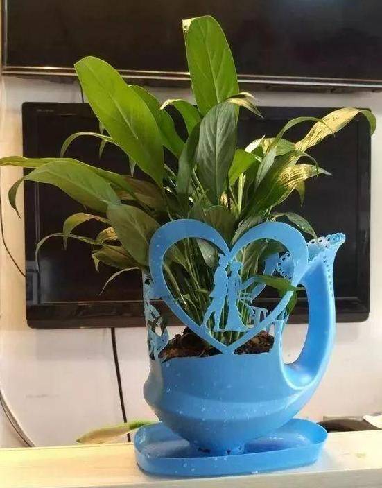旧书,易拉罐,塑料瓶……,用作养花,既省钱又好看有趣!_花盆
