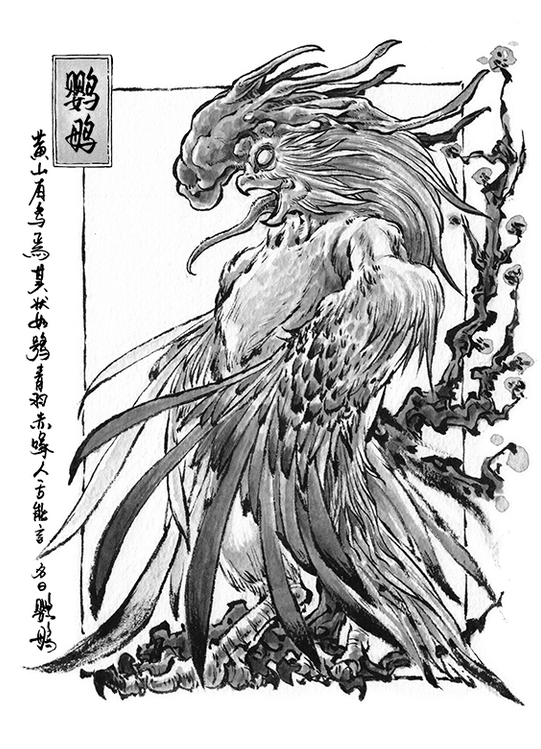 趣聊山海经黄山苍黑大目的牛舌似小儿能说人言的鹦鹉