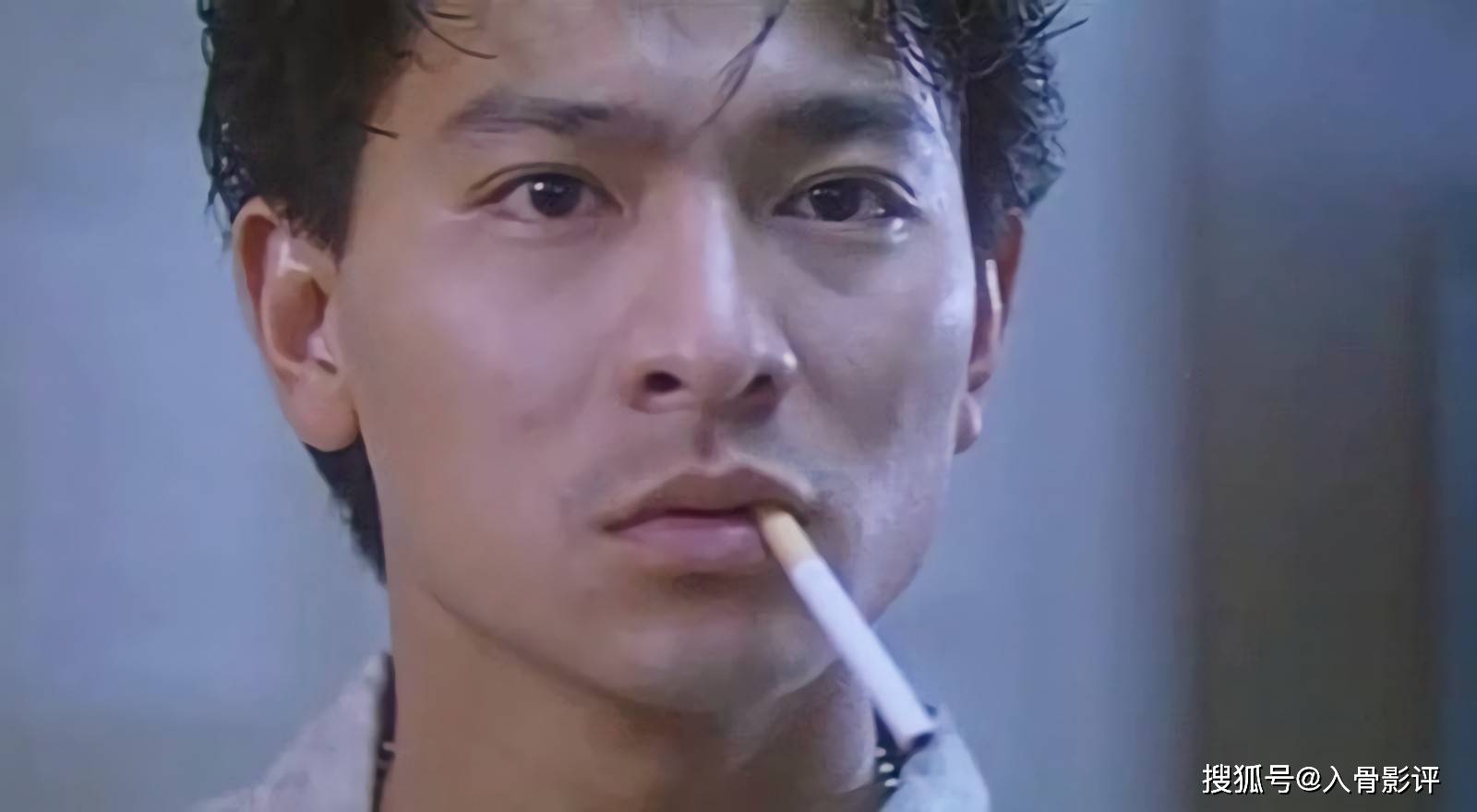 拆弹专家2失业失恋还失忆从愤怒绝望中重新崛起的真英雄