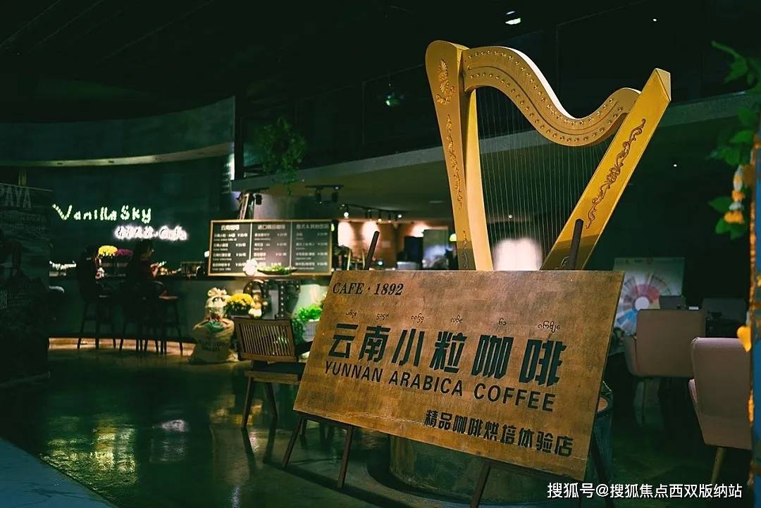 走进西双版纳——走进云南小粒咖啡_手机搜狐网