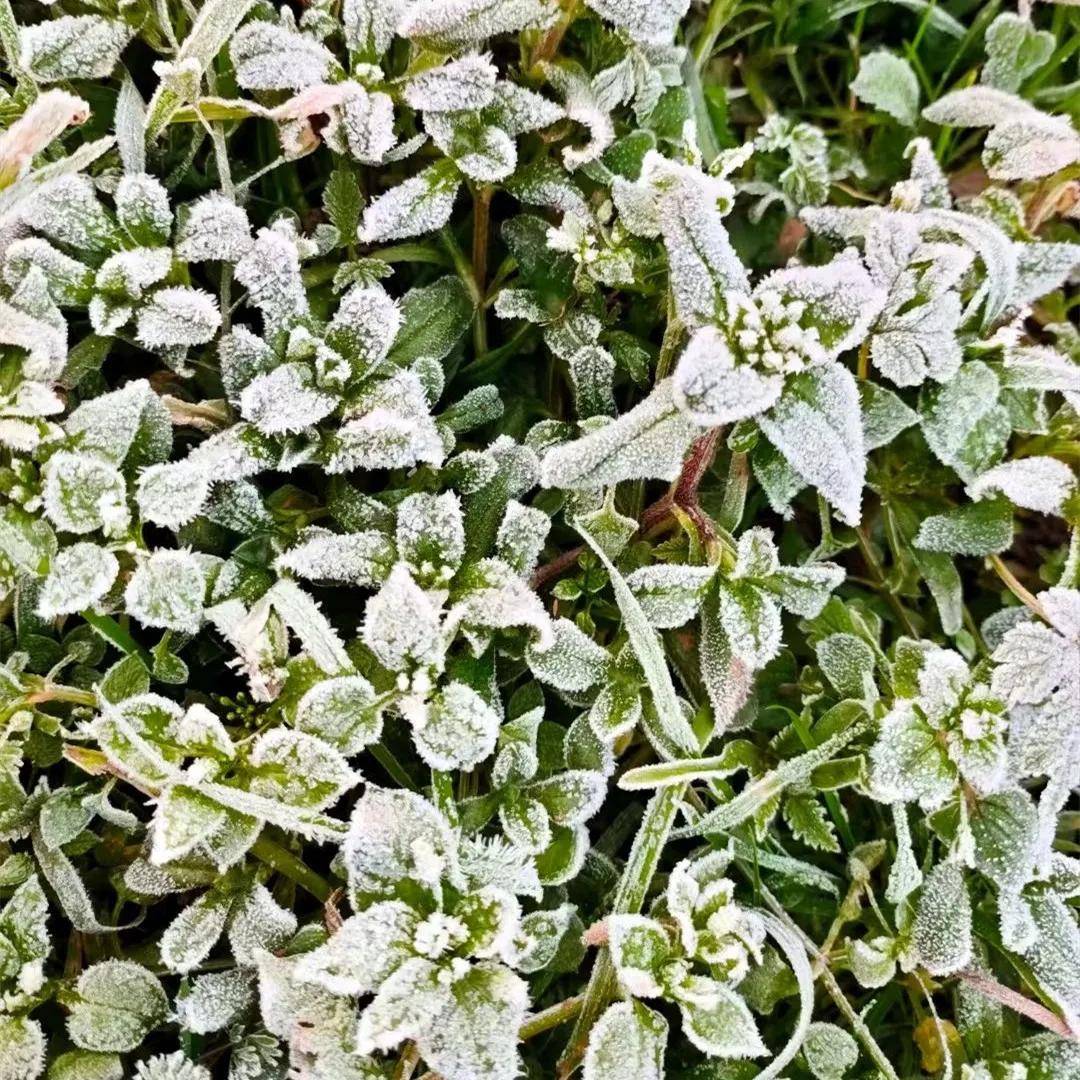 打霜了别样的平昌等你来
