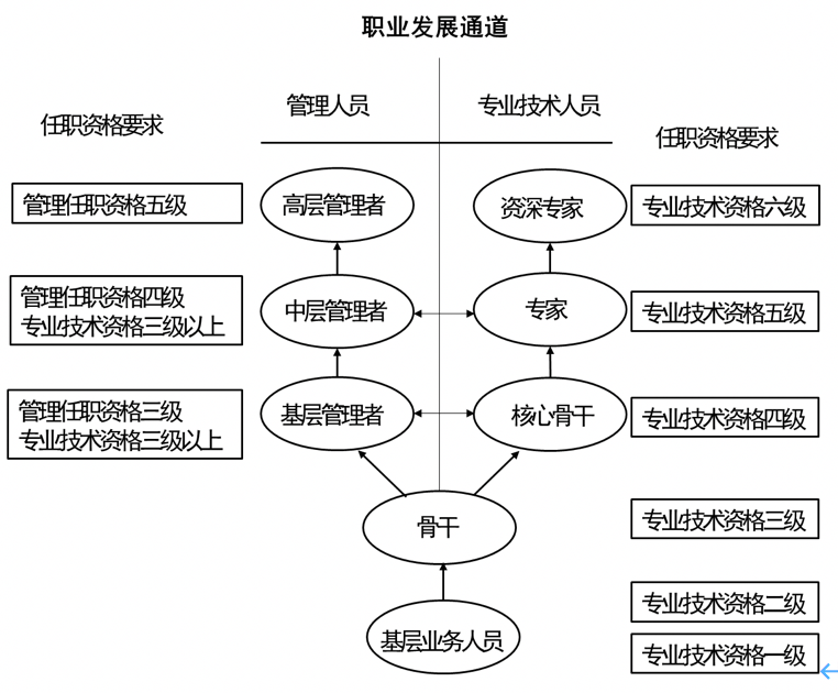 图4:职业发展通道 图源:华为中文网站新员工先从基层业务人员做起