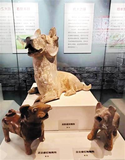 穿越千年,只为遇见你 元旦假期里,170件馆藏文物在南阳市博物馆惊艳