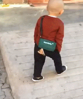 搞笑gif段子:小伙子,如果你穿的不是开裆裤,人家还能觉得你很酷