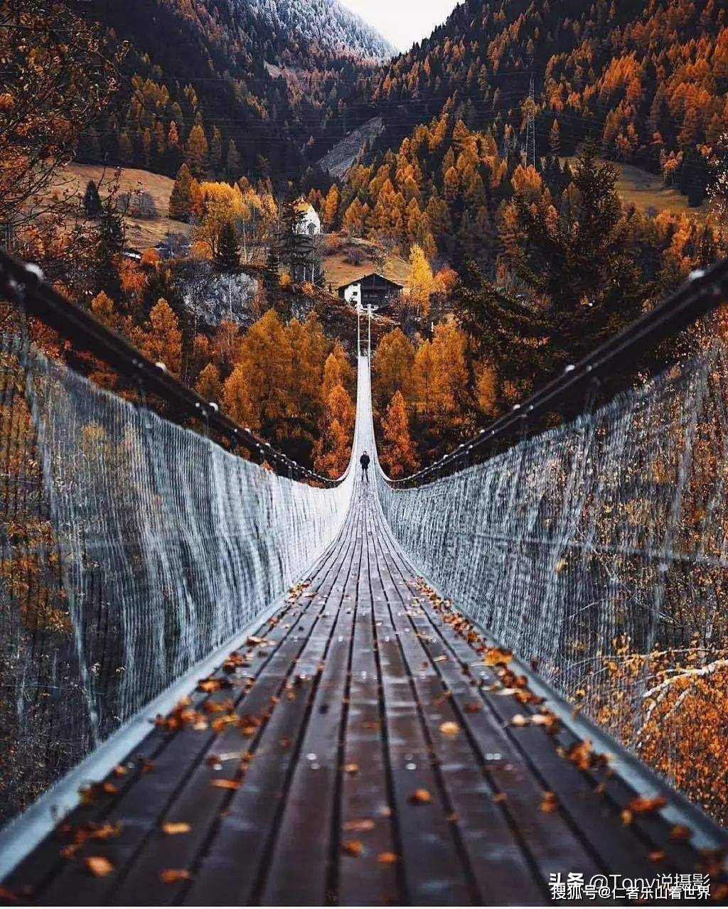 摄影:运用对比的表现手法,让拍摄主体更"亮眼"