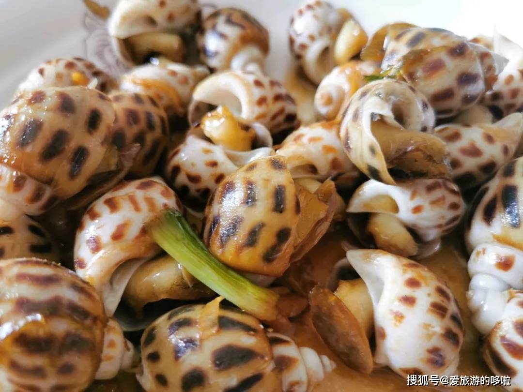 给你一颗花螺,你知道哪里能吃哪里不能吃吗?