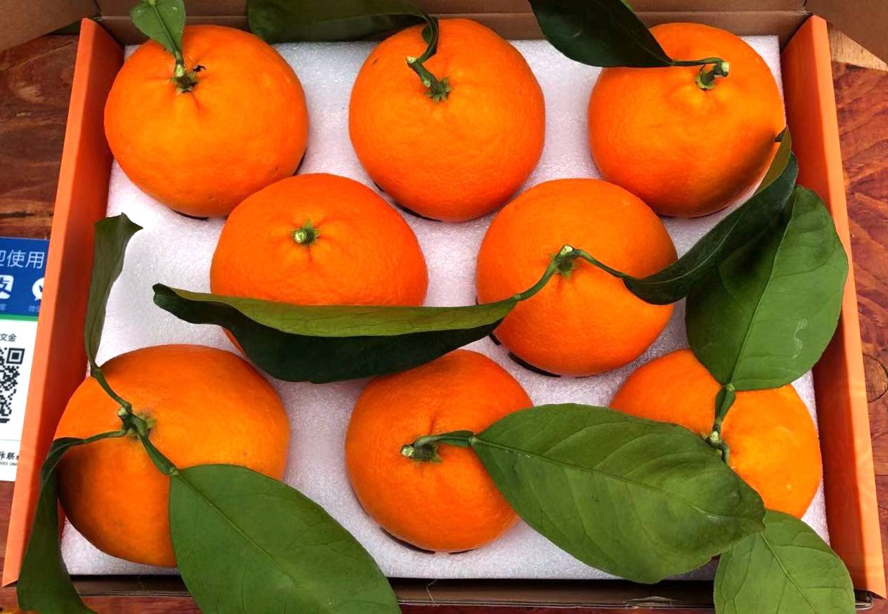 湖南省委书记许达哲莅临湘赣红展会考察湘南红柑橘