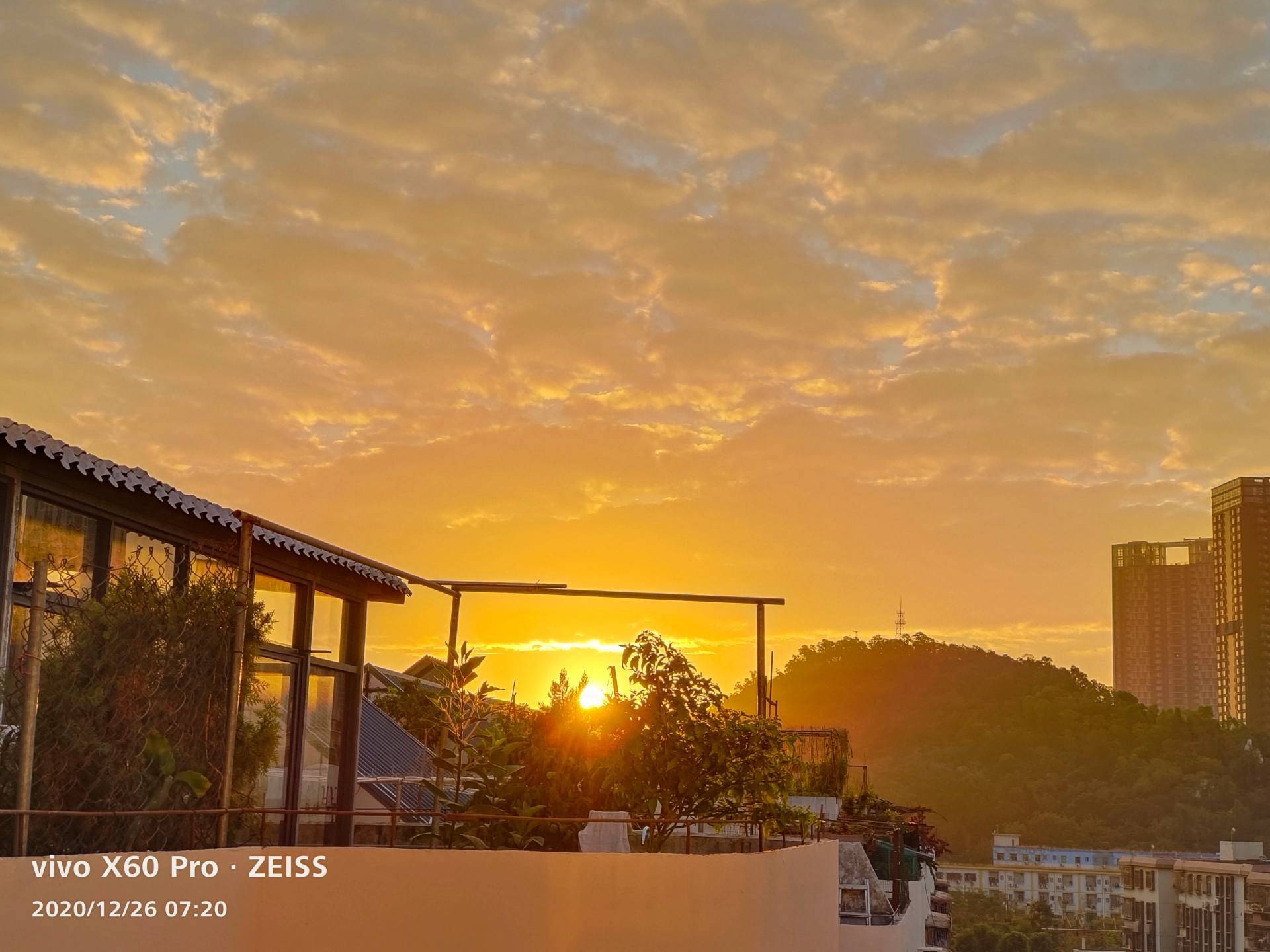 加入蔡司光学镜头vivox60pro拍照表现很给力