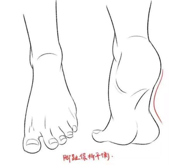 板绘|人物脚部结构参考绘画
