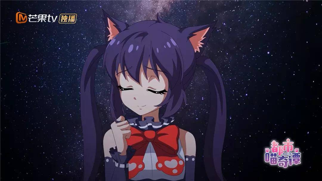 原创芒果首部独播网番都市喵奇谭定档国漫又多了一部猫动画