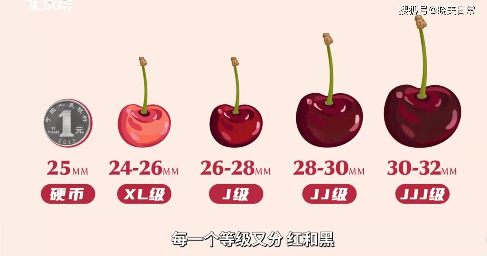 车厘子市场批发价