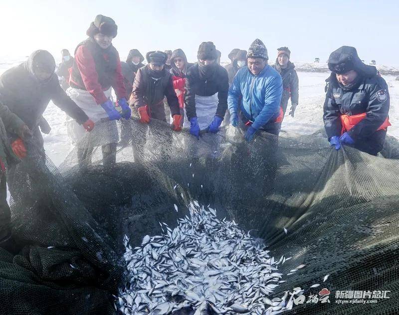“踏雪寻鱼” 感受新疆冰雪的另一种方式