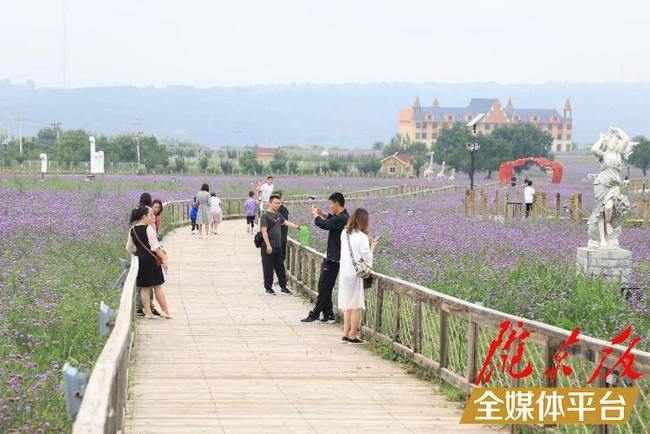 甘肃庆城县：立足千年农耕文化 打造全域旅游生态村