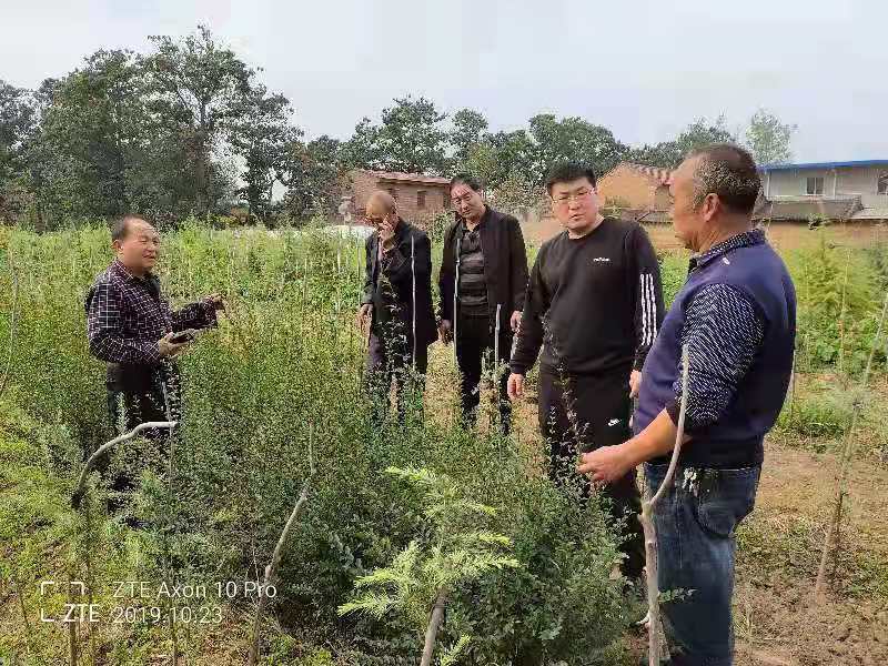 不忘初心警徽闪耀扶贫路记灵宝市西闫乡水泉头村第一书记郭战宾