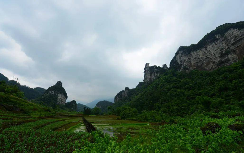 創建天府旅遊名縣桃花源竟然藏在四川興文周家