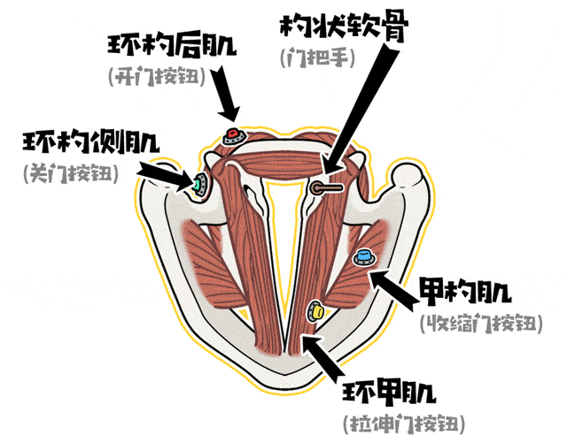 被绑架时嘴里塞了布就不能直接吐掉吗编剧你又骗我
