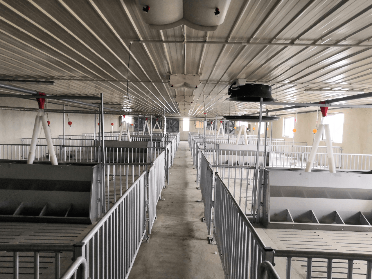 实用现代化规模化猪场需要哪些猪舍需要多少栏位如何计算