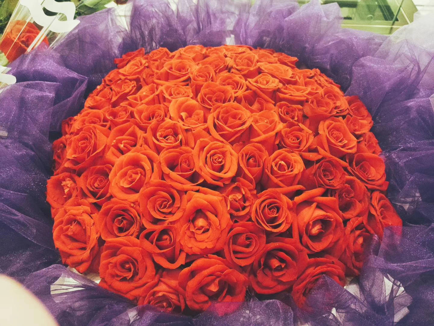 双子座的守护花是什么花