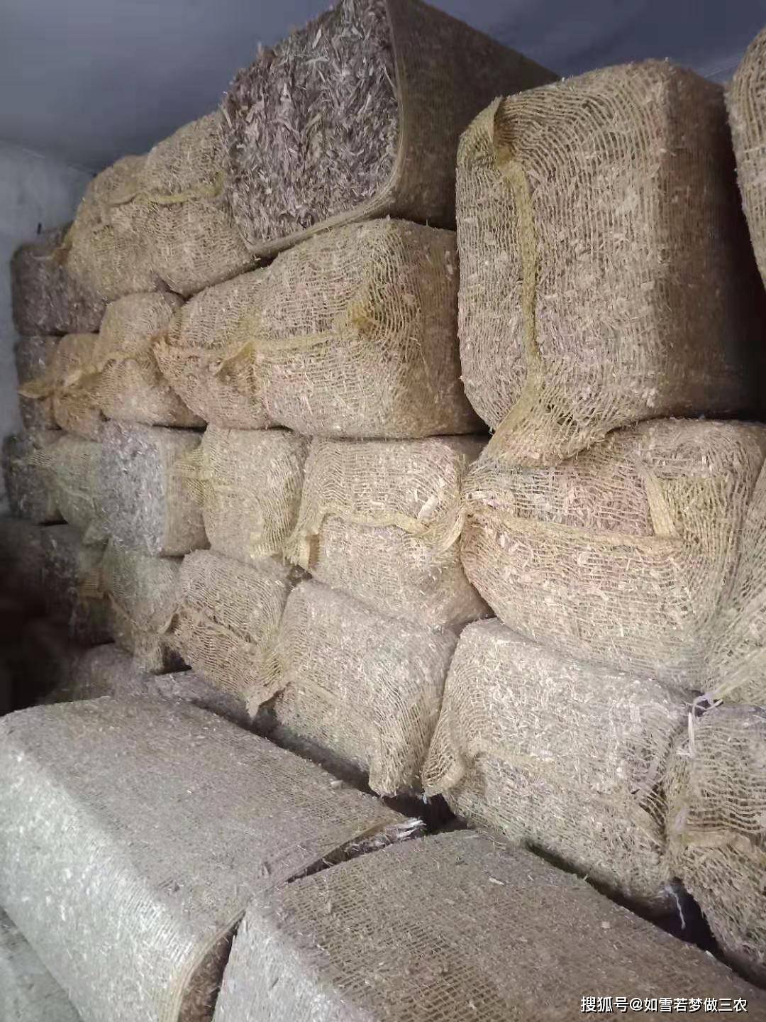 肉牛养殖草料,干草料和青储料,鉴别管理及饲喂注意事项