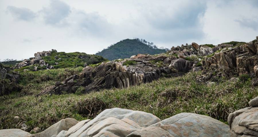 CES2021展会热度不敌涨价潮，海信TCL惠而浦国美在市场划重点-家电圈官网