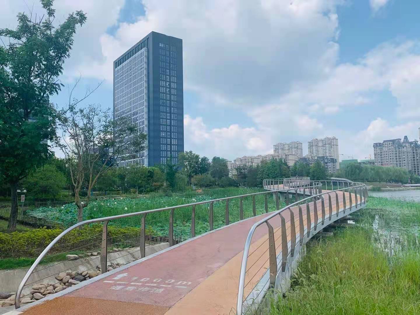 江苏泰州:滨水绿道让市民尽享水城幸福