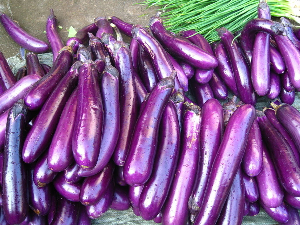 原创好男人拿手菜200茄子豆腐煲开胃必备佳肴为年夜饭加道菜