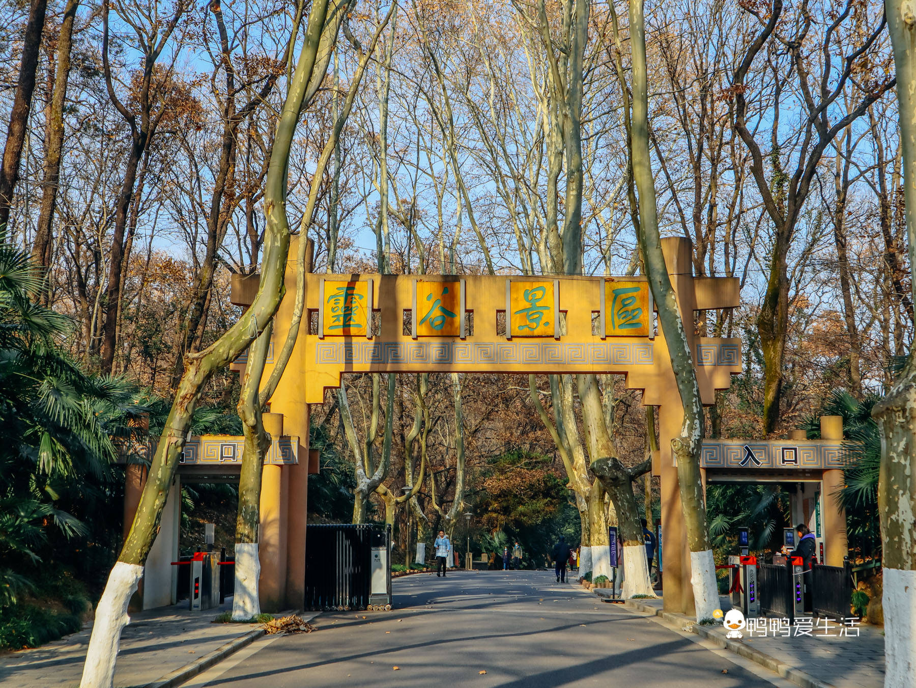 南京明朝古寺，原建筑仅存无梁殿，殿前石龟趺来历不明成谜团！