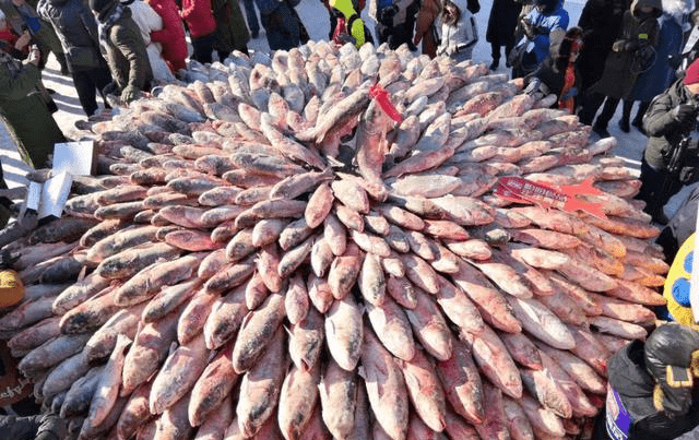 查干湖冬捕，头鱼300万成交，火爆中伴随争议，是是非非何时休？