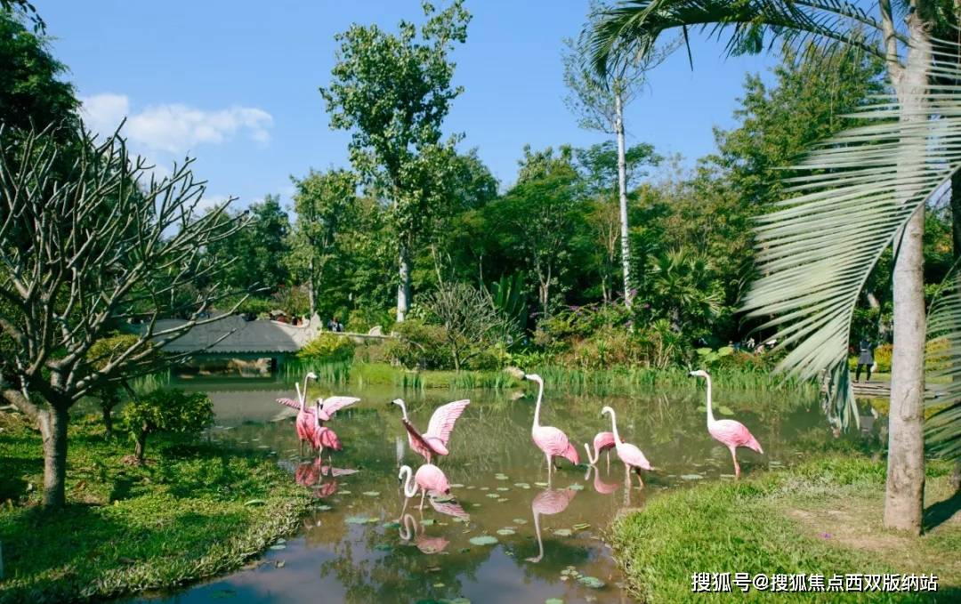 西双版纳阅蓝山——穿越北纬21°，在冬日遇见26℃的暖时光