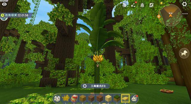 迷你世界：玩家亲测植物特性，乔木成陆地之最，苔藓隐藏强大功能
