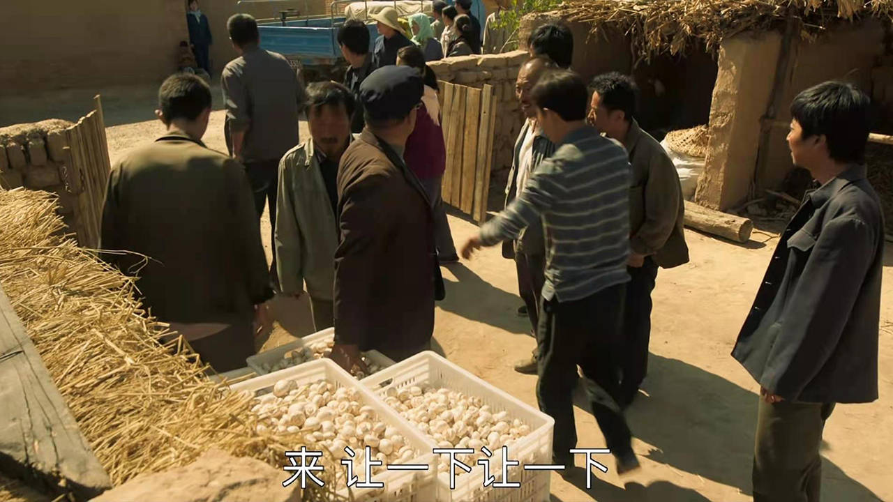 原创山海情:得福有件事不地道,这个哥太不称职了,根本不替得宝着想