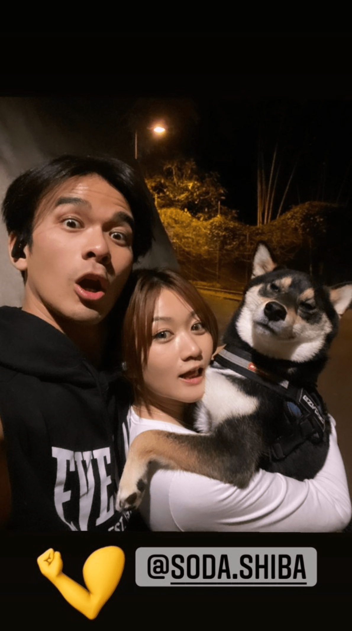 父母爱情全家福是哪集 aaa0864cdf9f4020a5322fb166a45bff.png