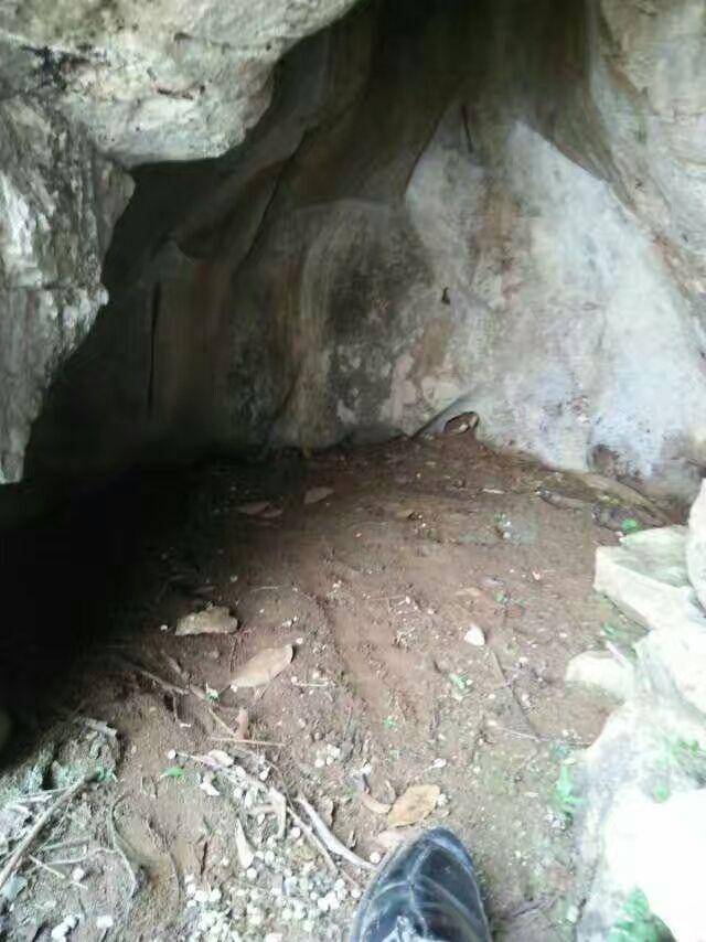 原创古人云一坟二屋三命运是啥意思为什么坟居第一