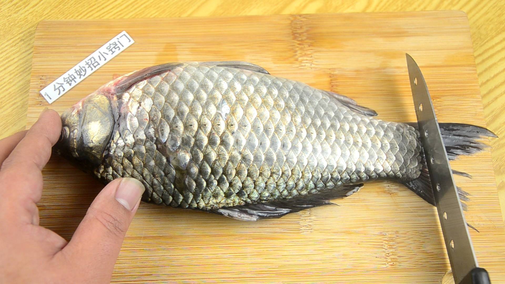 刮鱼鳞原来这么简单 只要一个塑料袋 鱼鳞不乱飞不脏手 真省事 方法