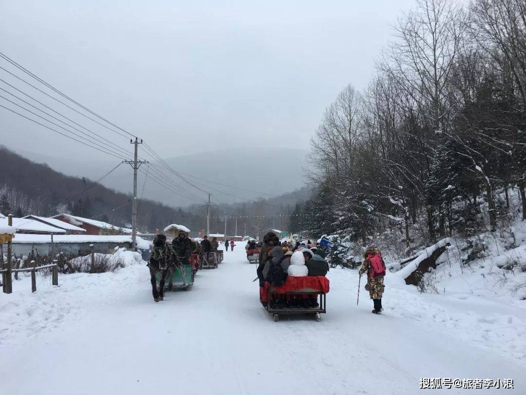 东北之行 童话雪国七日游 羊草山穿越 雪地摩托