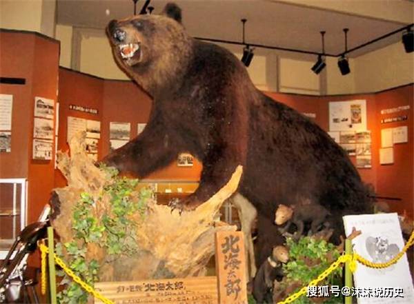 成语什么兽食人_成语故事简笔画(2)