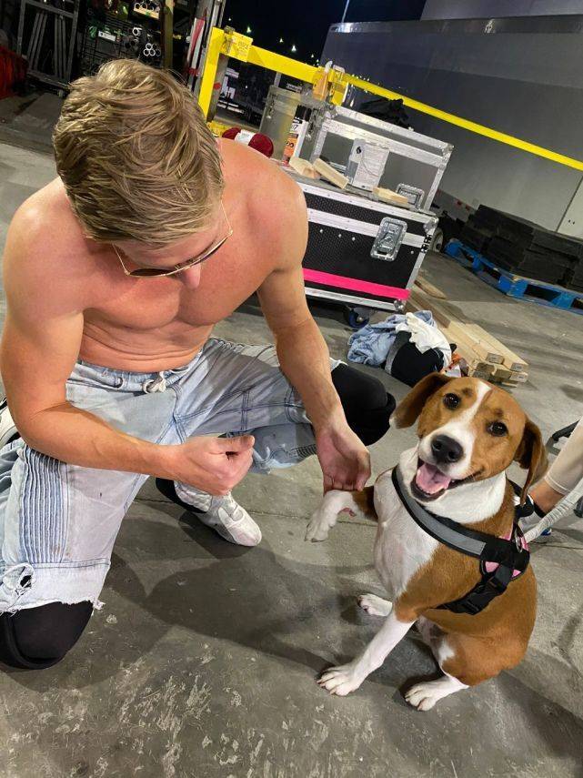 原创整活之王成人气之王橘神卡西迪成2020年最受欢迎摔角手