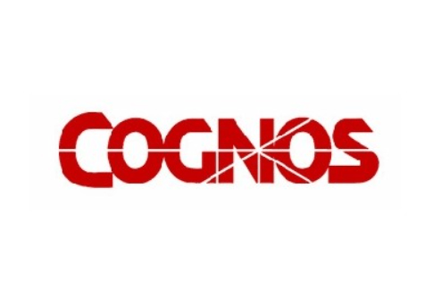 国产化|在Cognos、Tableau的替代浪潮中，哪些国内BI厂商榜上有名