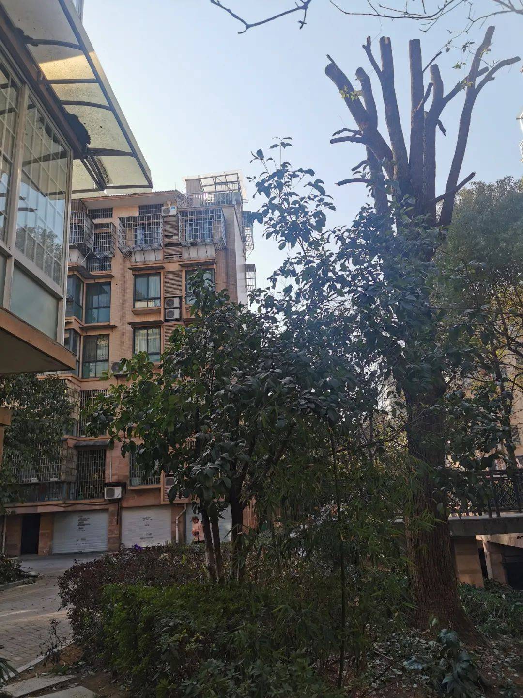 福田花园于2006年到2008年间交付,目前有3000多户住户,当年小区就是以