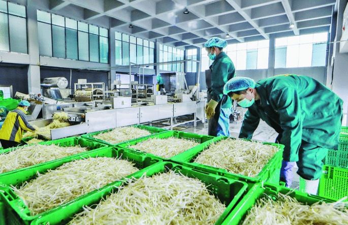 离石区育民食品豆芽生产
